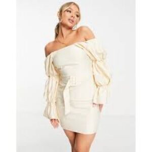 ASOS - NWT Luxe Curve Strength Detachable Belted Extreme Sleeve Dress Size 14